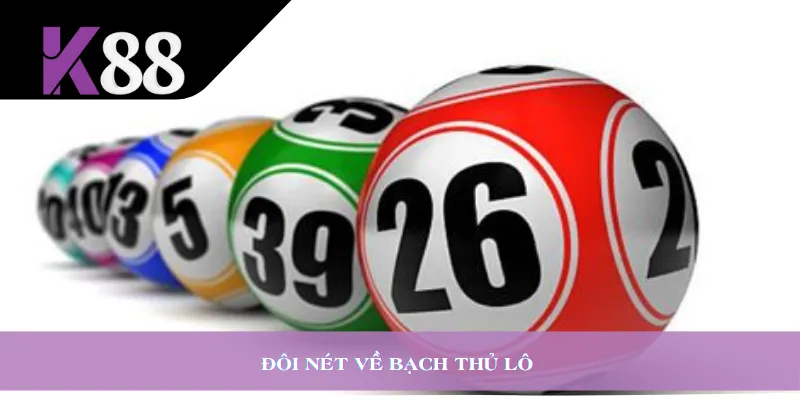 Đôi nét về bạch thủ lô